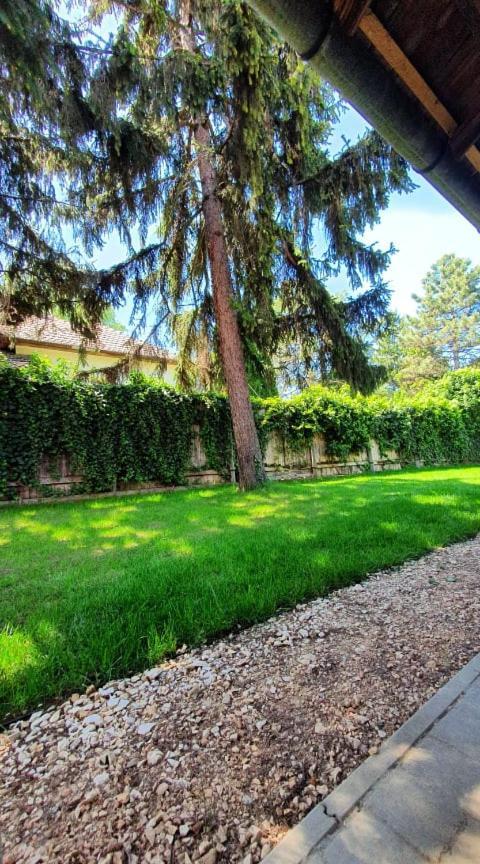 Vankos Vendeghaz Mindszent Exterior foto